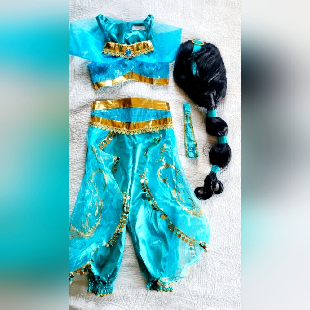 Princess Jasmine Costume and Wig
